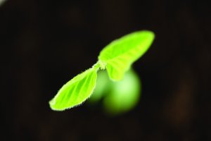 平台值得花时间学吗